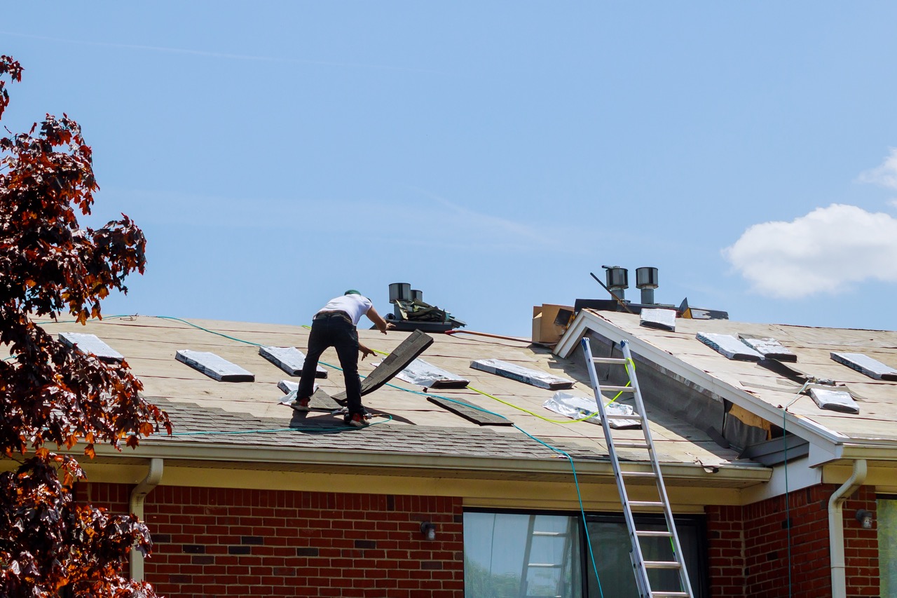 shingle-roof-installation